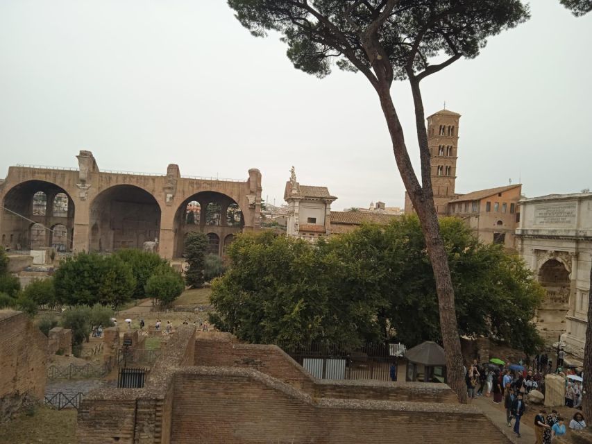 Exclusive tour of Ancient Rome and Domus Tiberiana - What to know before you go (so nothing slows you down)