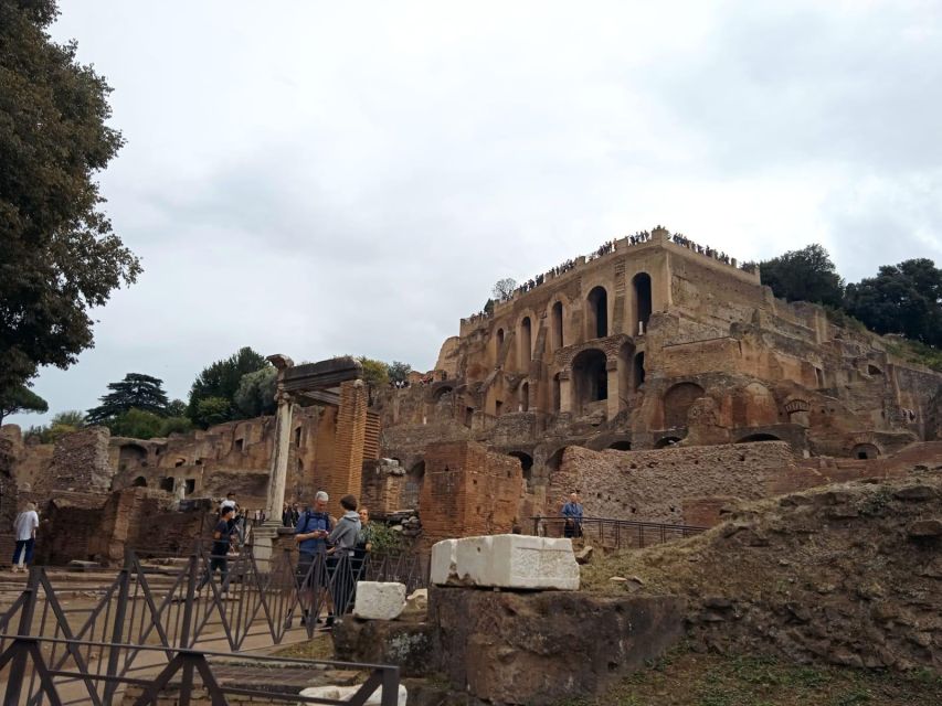 Exclusive tour of Ancient Rome and Domus Tiberiana - Price and value for a $99.92, short Rome hit