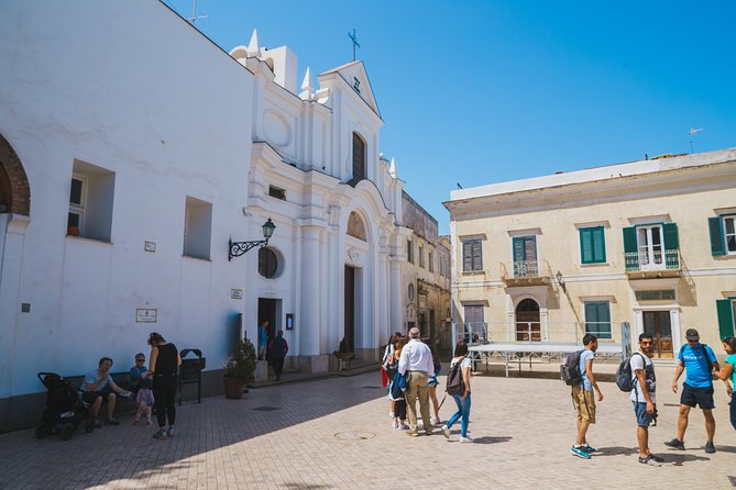 Exploring Capri and Anacapri from Rome: Sea and City Day Trip - Gardens of Augustus ticket: why it matters on a limited day
