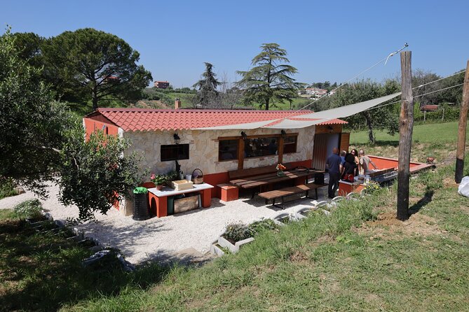 Focaccia and Pesto Cooking Class in the Roman Countryside - Price and Time Value: Is $108.26 a Fair Deal?