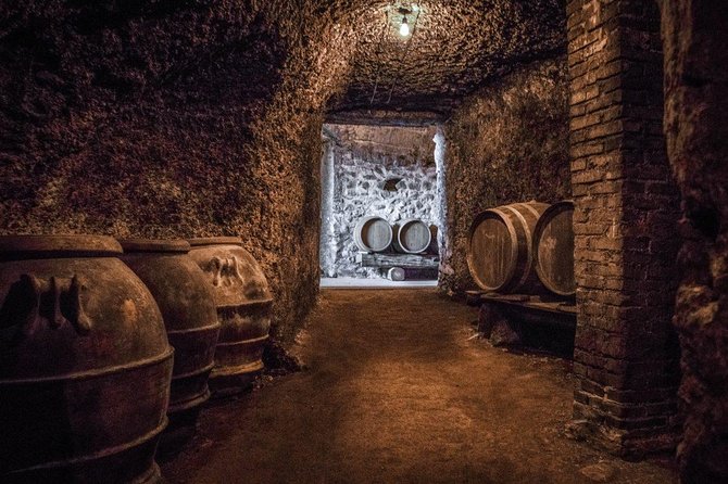 Frascati Wine Tasting Tour: The Flavors of the Roman Countryside - The Wines of Frascati Explained in Plain Language