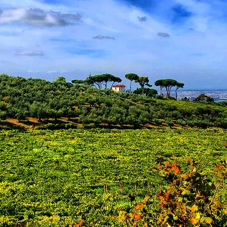 Frascati Wine Tasting Tour: The Flavors of the Roman Countryside - Stop 2 in Frascati Centro Storico: Town Walk With Local People