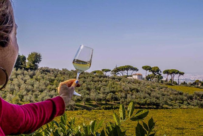 Frascati Wine Tasting Tour: The Flavors of the Roman Countryside - Guides That Can Make or Break the Experience