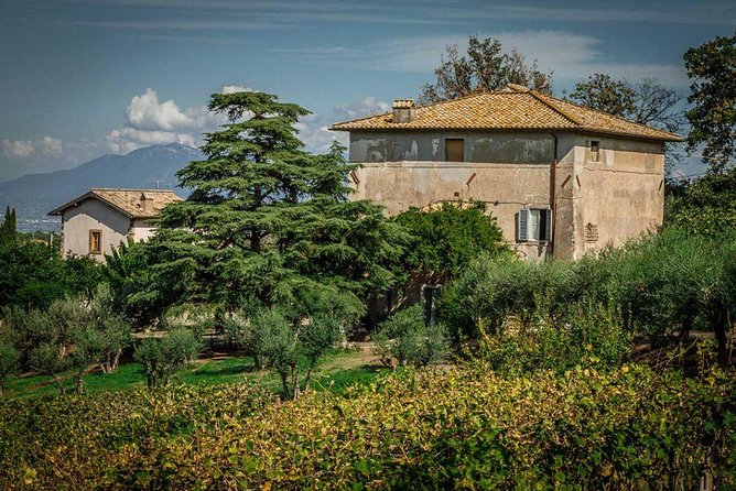 Frascati Wine Tasting Tour: The Flavors of the Roman Countryside - Getting There Without Renting a Car: Train + Pickup