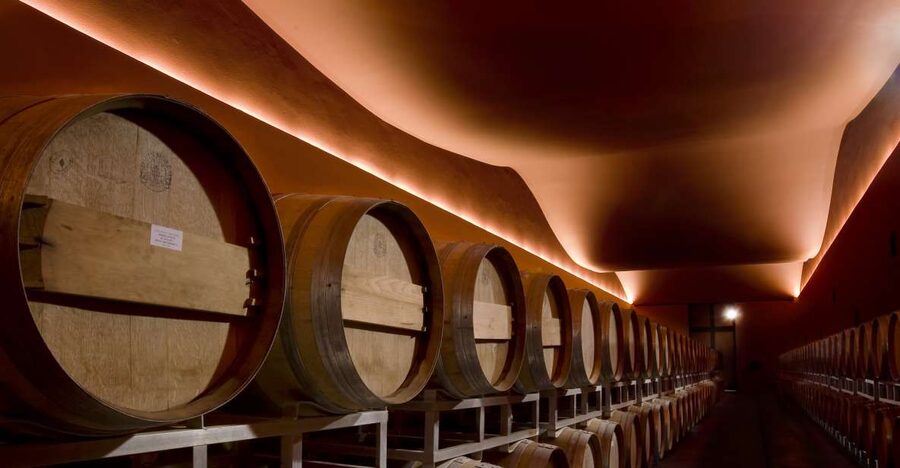 From Civitavecchia: Tuscany-Latium Wine Tour with Tastings - Hill towns, vineyard walking, and the sea-to-mountain feeling