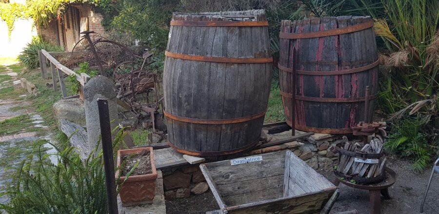 From Civitavecchia: Tuscany-Latium Wine Tour with Tastings - Who should book, and who should skip it