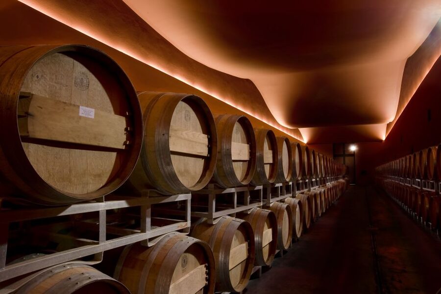From Civitavecchia: Tuscany-Latium Wine Tour with Tastings - Final verdict: should you book this Maremma wine tour?