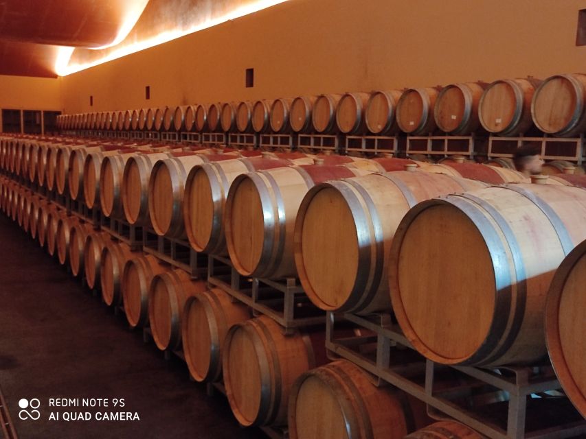 From Civitavecchia: Tuscany-Latium Wine Tour with Tastings - FAQ