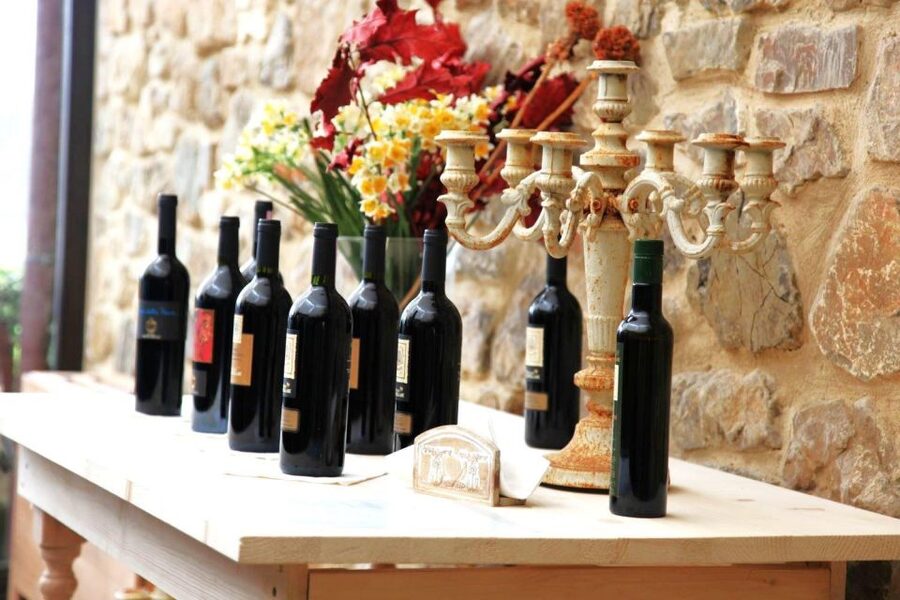 From Rome: Bagnoregio & Orvieto Day Trip with Wines & Lunch - The guide and driver factor: why it changes the whole day