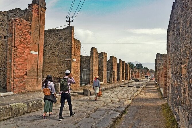 From Rome: Best of Pompeii Guided Tour and Sorrento Day Trip - The Pompeii ID Rule You Should Not Ignore