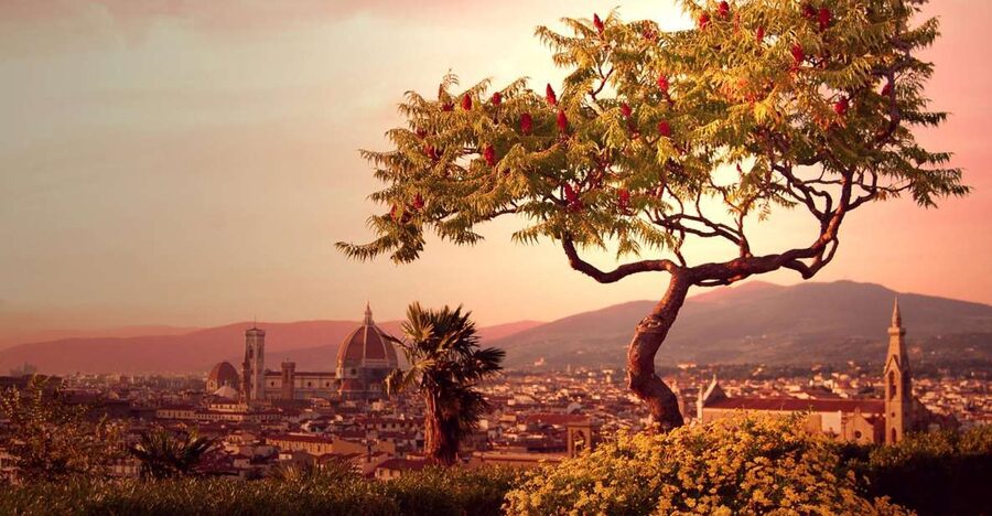 From Rome: Day Trip to Florence by High-Speed Train - Florence on Your Terms: A Full 7 Hours to Walk, Shop, and Choose