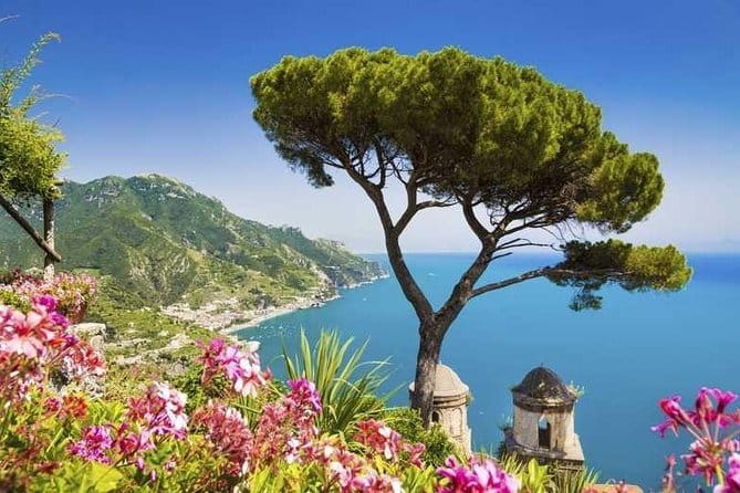 From Rome: Day Trip to Tuscany & Siena with lunch & Wine Tasting - Price and logistics: what $359.68 really buys you