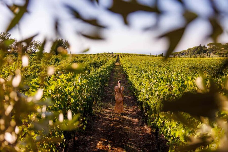 From Rome: Frascati Wine Region Tour with Wine Tasting - The 3-Hour Plan That Actually Feels Relaxed