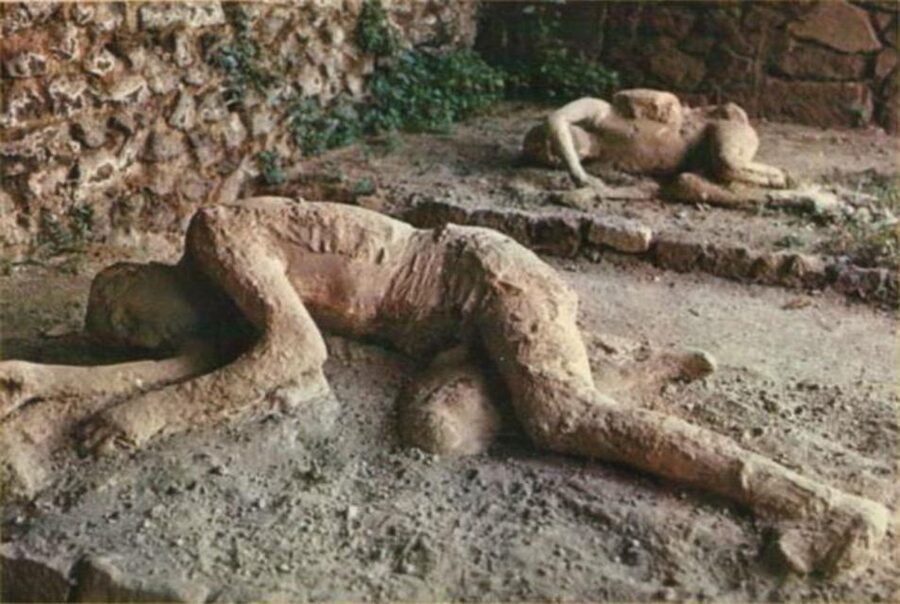From Rome: Pompeii All-Inclusive Tour with Live Guide - What you pay for at $145, and why it can still be good value