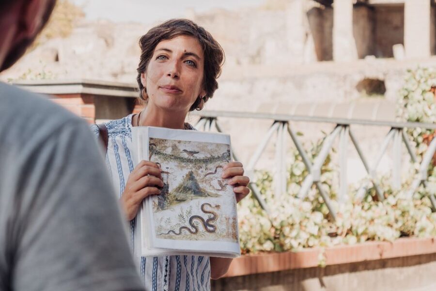 From Rome: Pompeii and Herculaneum by High-Speed Train - Who this Rome Pompeii and Herculaneum day trip fits best