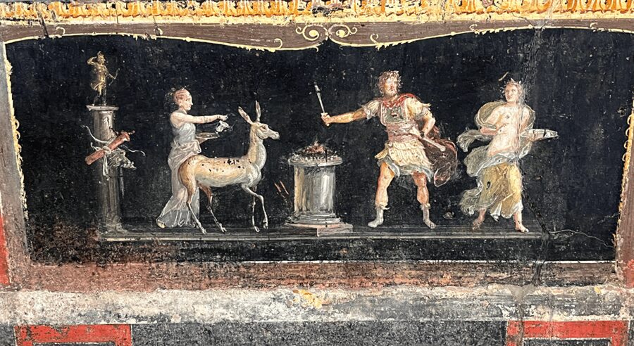 From Rome: Pompeii and Herculaneum Tour w/ High-speed Train - Who this Pompeii and Herculaneum day trip fits best