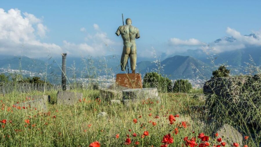 From Rome: Pompeii and Naples Day Trip by High-Speed Train - Who should book, and who should pass