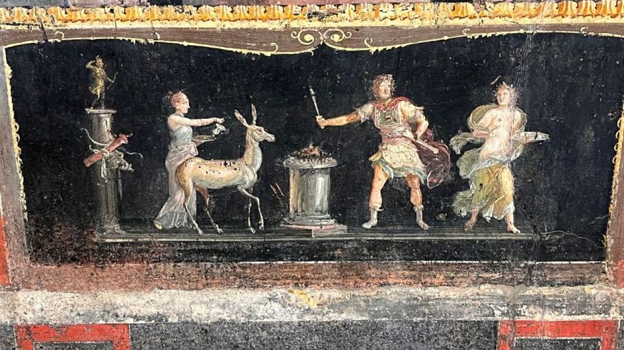 From Rome: Pompeii and Naples Day Trip by High-Speed Train - Cost and value: does $259 make sense for what you get?