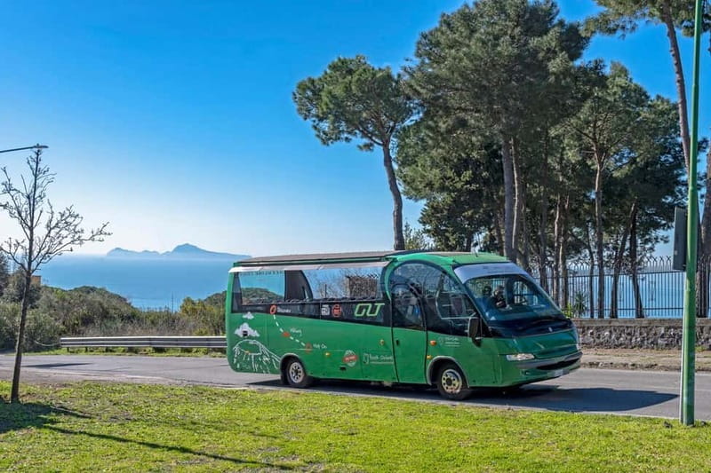 From Rome: Pompeii and Vesuvio Guided Day Trip with Lunch - From Rome with air-conditioned comfort and a clear meeting point