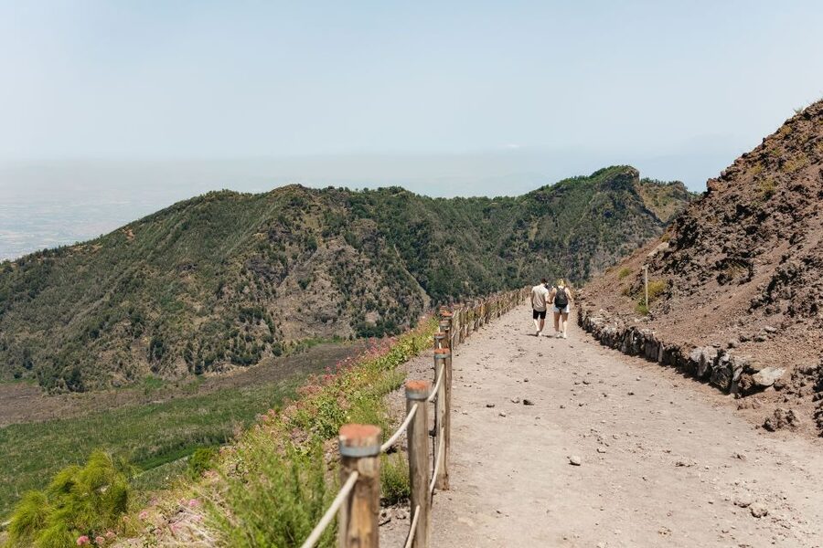 From Rome: Pompeii Day Trip with Optional Vesuvius and Lunch - Pompeii entry without the usual ticket stress