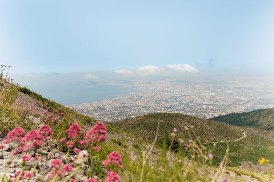 From Rome: Pompeii Day Trip with Optional Vesuvius and Lunch - Price and value: is $88 a smart deal?