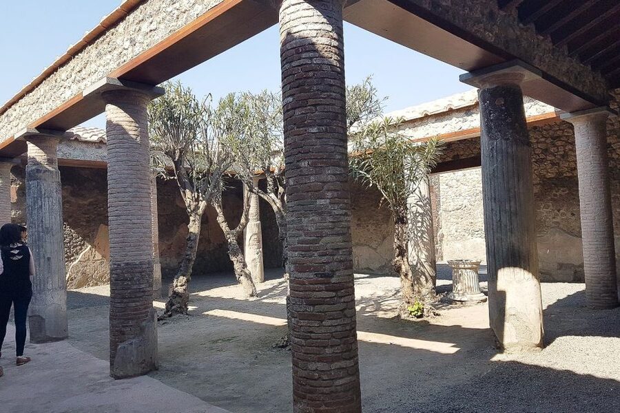 From Rome: Pompeii & Naples Small-Group Day Tour with Lunch - The best parts of Pompeii to pay attention to