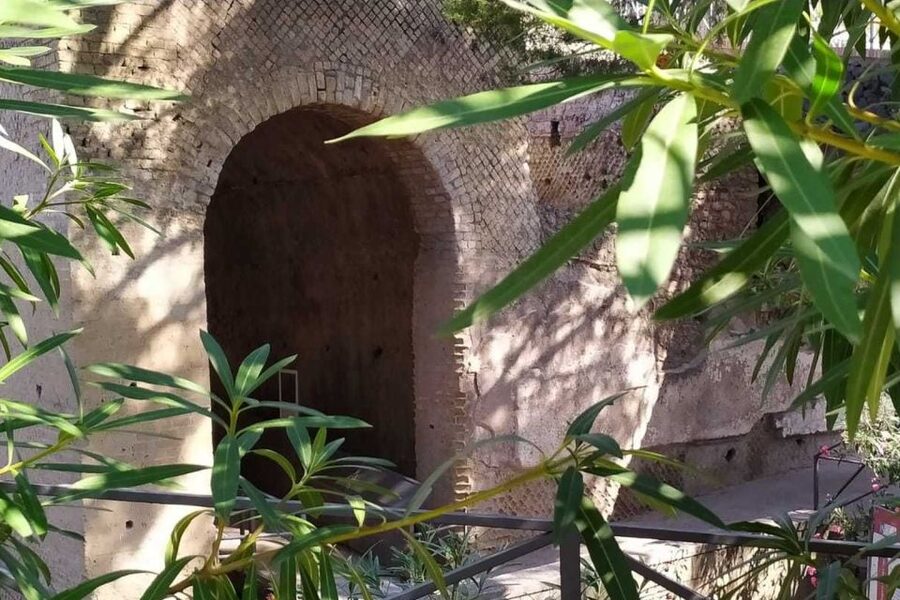 From Rome: Pompeii & Naples Small-Group Day Tour with Lunch - Biologic Farm lunch and wine tasting: what to expect