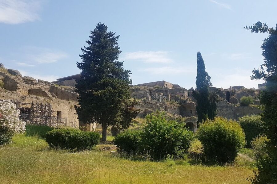 From Rome: Pompeii & Naples Small-Group Day Tour with Lunch - Naples by the Bay, coffee, and time to wander