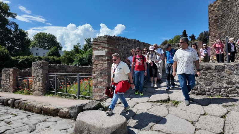 From Rome: Pompeii Ruins Tour with Expert Guide & Fast Train - Price and value: what $152.76 is really paying for