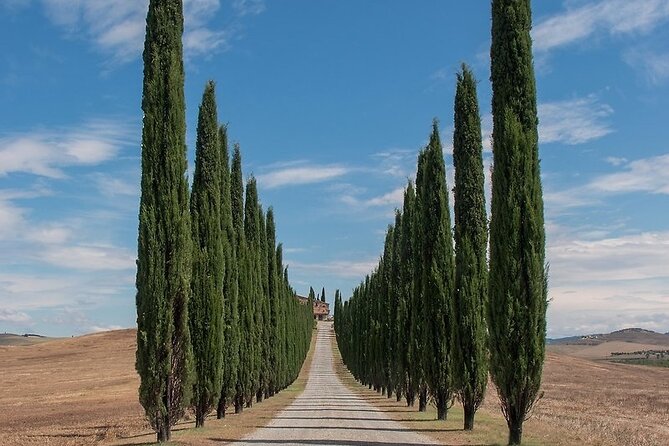 From Rome: Private Day-Tour of Tuscany - Quick Takeaways From This Val dOrcia Day Trip
