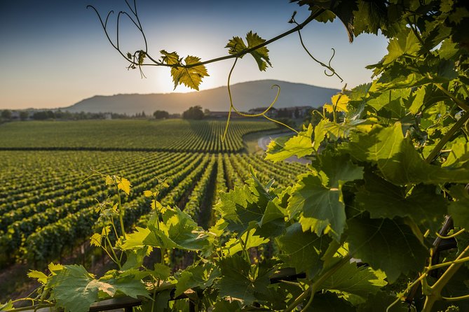 From Rome: Private Day-Tour of Tuscany - Stop One in Montepulciano: Underground City, Wine, and Town Views