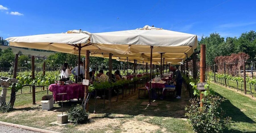 From Rome: Siena and S. Gimignano, Tuscany Wine One Day Tour - Siena walk plan: Piazza del Campo, photo stops, and sweet breaks