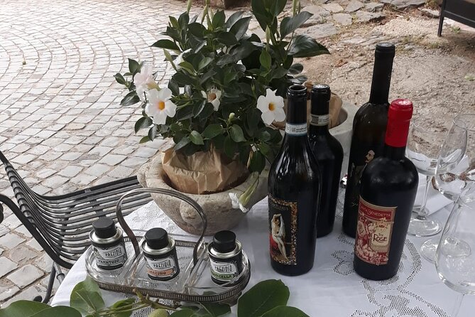 From Rome to the Castles: Private 3-Hour Wine Tasting Tour - Countryside views, villa vibes, and photo stops you can actually use