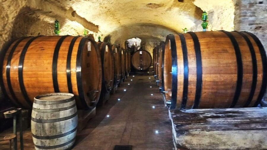 From Rome: Tuscany, Montepulciano Tour with Wine & Lunch - Time, walking, and what to pack for a 12-hour day