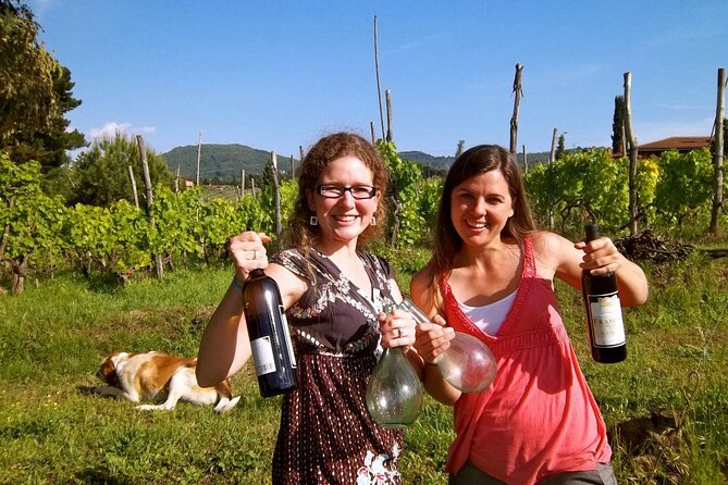 Guided Wine Tasting Experience in a Roman Vineyard - Rome to Frascati, the easy route for a 2-hour wine escape
