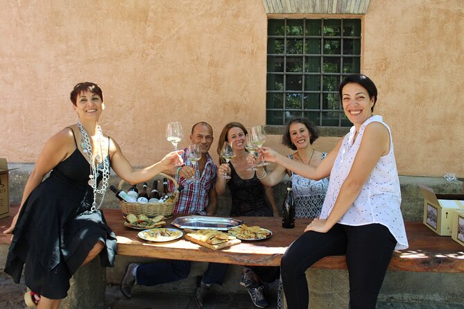Guided Wine Tasting Experience in a Roman Vineyard - Price and value: is $58.71 actually fair?