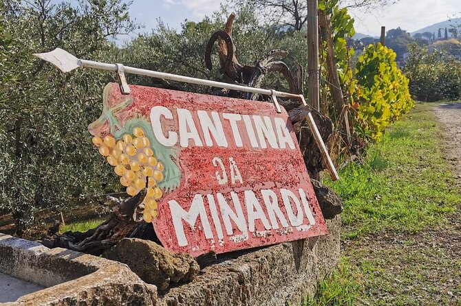 Half-Day Minardi Wine and Food Tour in Frascati - Minardi’s guided visit: vineyards, old cellar, and boutique wines