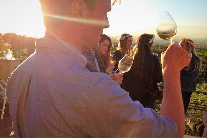 Half-Day Minardi Wine and Food Tour in Frascati - The short ride to Minardi and why the farmhouse setting matters