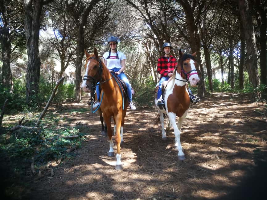 Horse Sanctuary in Rome - Getting There From Rome (and Not Overplanning Your Morning)