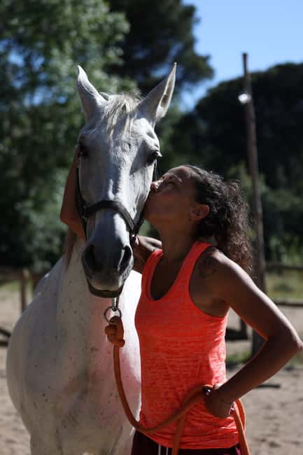 Horse Sanctuary in Rome - Entering The Ranch: Coffee, Croissant, and Rescued Horses