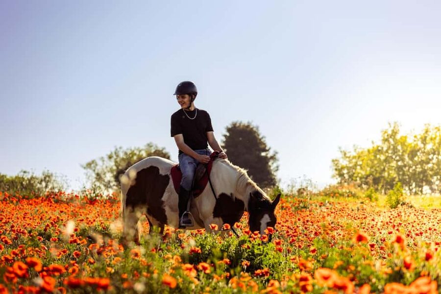 Horse Sanctuary in Rome - The 3-Hour Flow: From Pinewoods to Roman Ruins