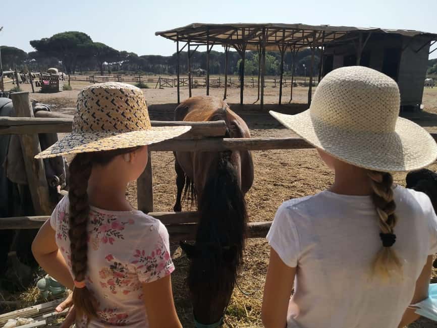 Horse Sanctuary in Rome - What You See Near Rome: Countryside, Beach Area, and Quiet Trails