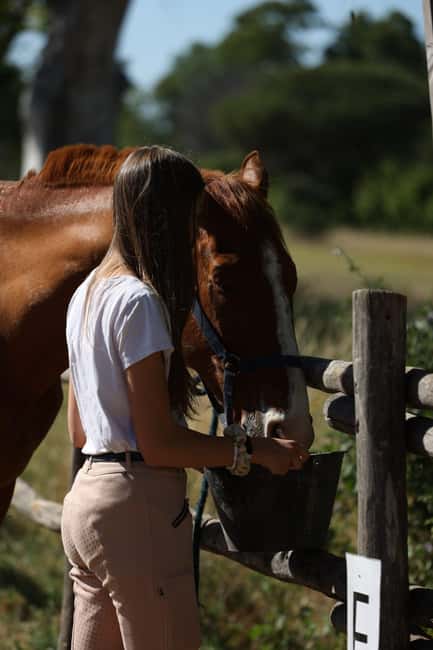Horse Sanctuary in Rome - Beginners vs. Experienced Riders: Built for Different Comfort Levels