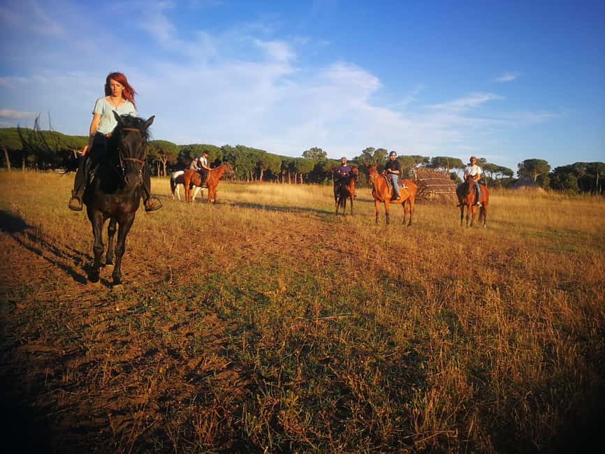Horse Sanctuary in Rome - Light Food, Shared Moments, and Ranch Life