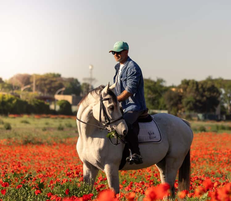 Horse Sanctuary in Rome - Your Horse Lesson: Helmet, Basics, and Feeling Secure