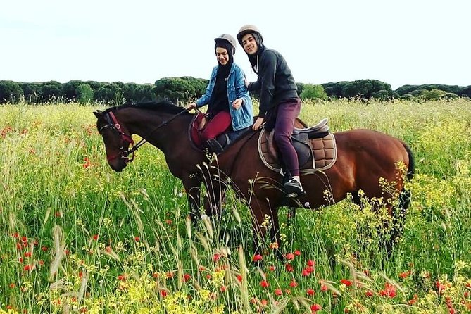 Horse Sanctuary & Trail Ride in Ostia Antica - Finding Cavalieri di Gaia near Rome, without stress