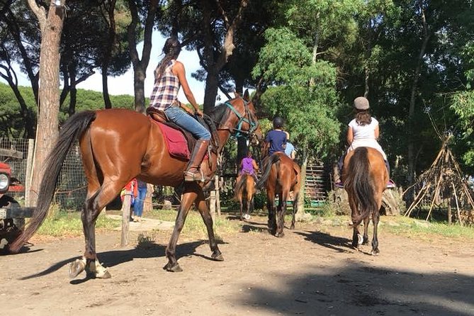 Horse Sanctuary & Trail Ride in Ostia Antica - Logistics: the meeting point is small, so arrive ready