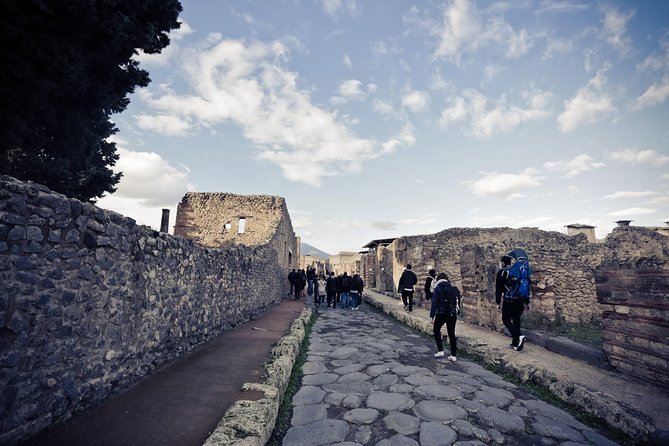 Independent Sorrento & Pompeii Day Trip from Rome - Rome Departure Day: Meeting at Villa Borghese and Settling In