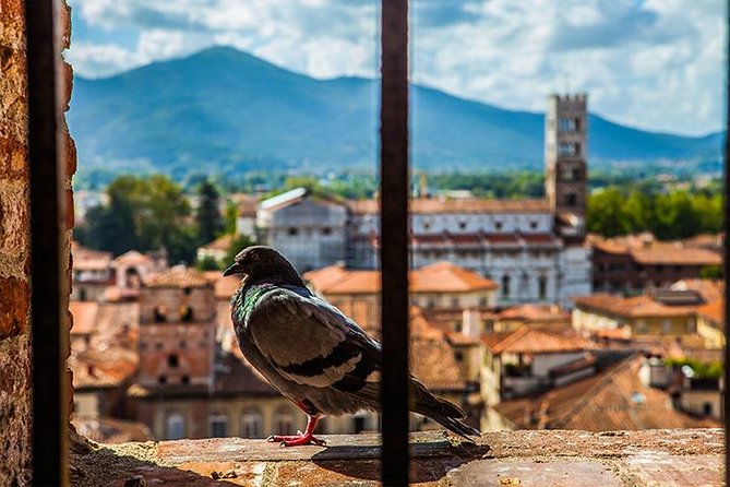 Lucca and Pisa Day Tour from Rome - How much time you actually get, and how to stay un-rushed