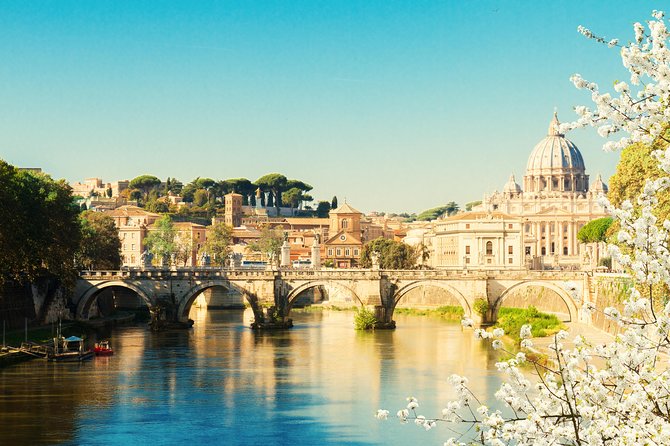Meet Pope Leo XIV at St Peter Square Vatican City - St Peter’s Square viewing: what you gain, what you can’t control